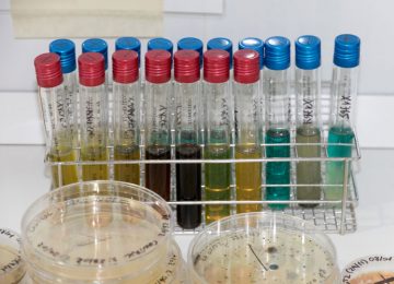 Laboratorio
